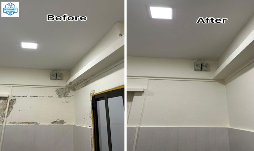 Admin/Blog/Details/Wall Crack & Damp Repair.jpg